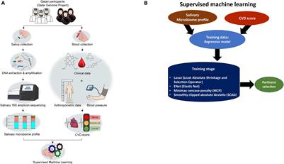 Can the Salivary Microbiome Predict Cardiovascular Diseases? Lessons Learned From the Qatari Population